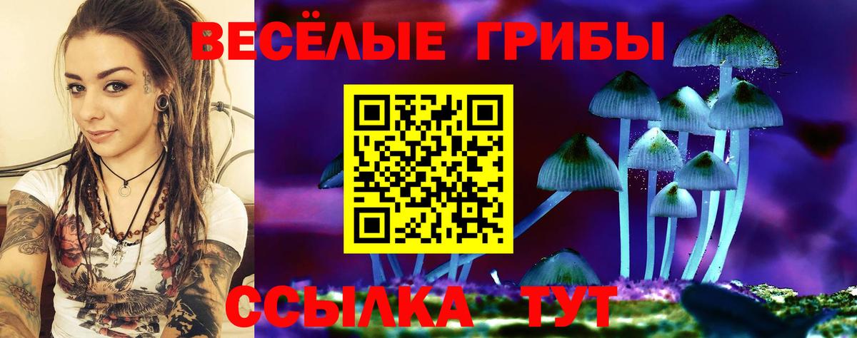 Галлюциногенные грибы Cubensis Мыски